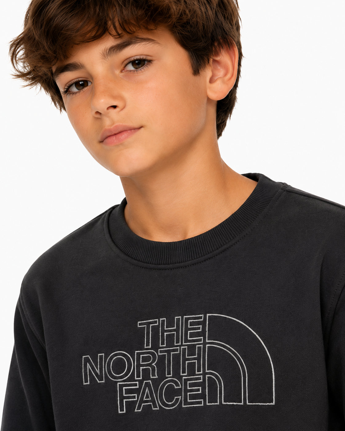 NF0A8AXX - Felpe - The North Face