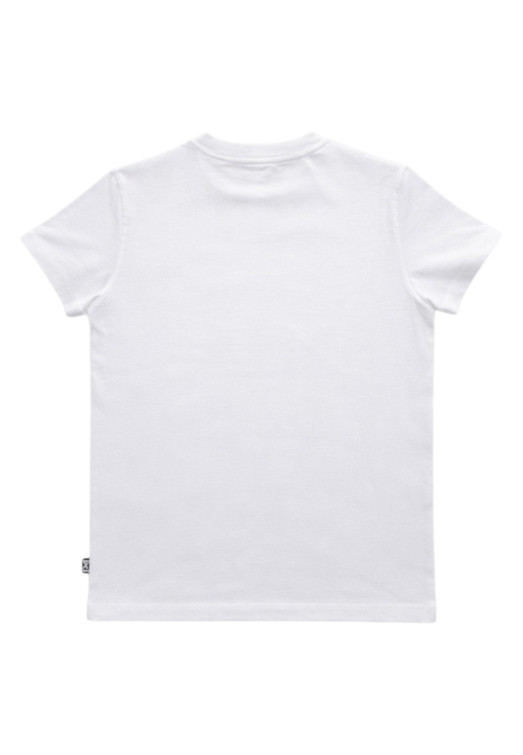 1236M00474 - T-Shirt e Polo - Daniele Alessandrini