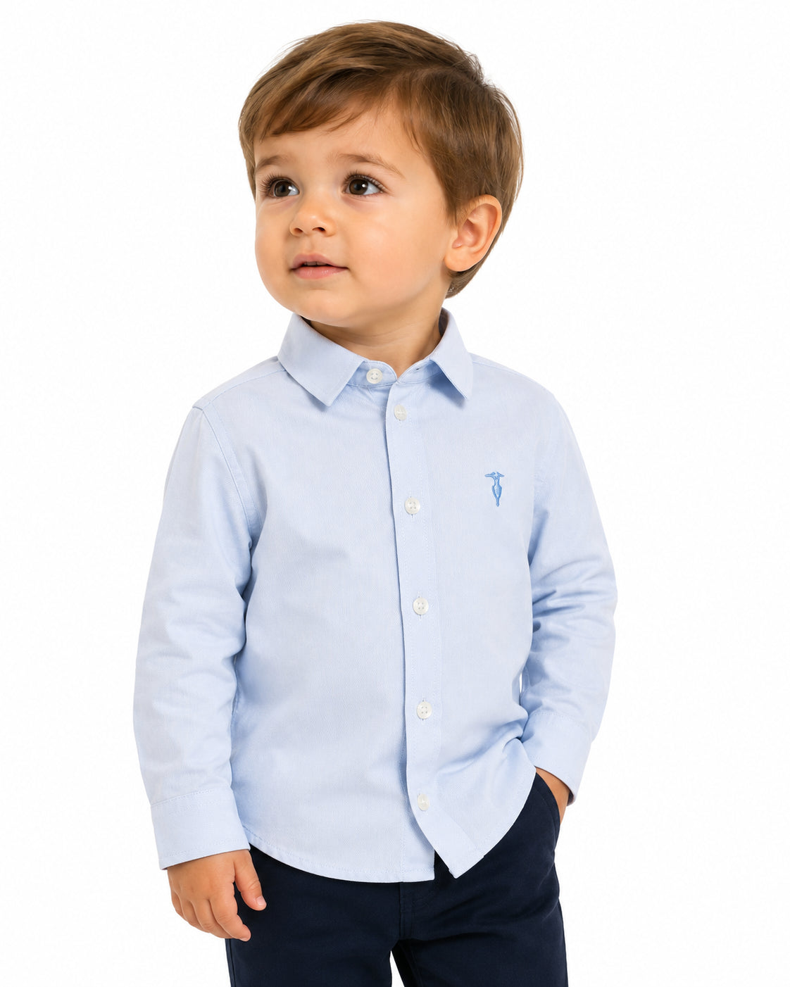 TIA26046CA - Camicie - Trussardi
