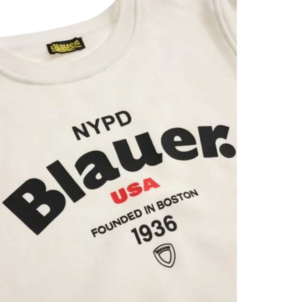 25WBLKF03490 - Felpe - Blauer