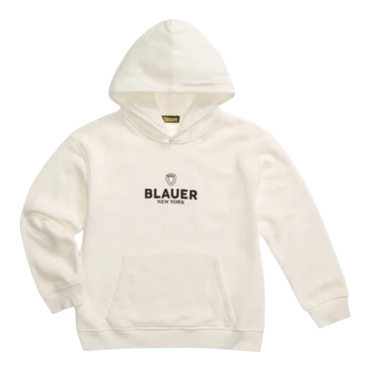 25WBLKF08478 - Felpe - Blauer