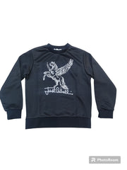 JMFE004 - Felpe - Just Cavalli