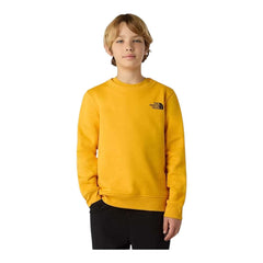 NF0A89H756P - Felpe - The North Face