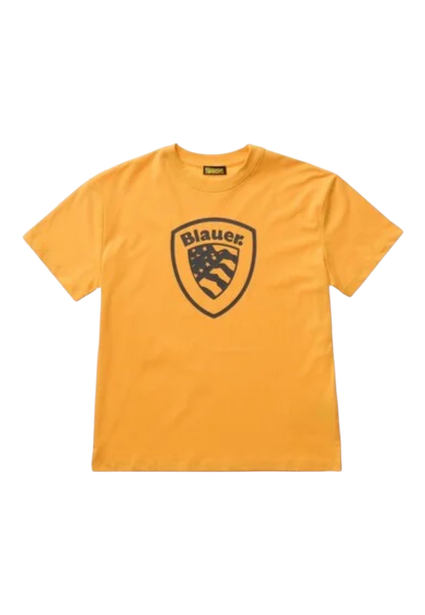 26SBLKH02522 - T-Shirt e Polo - Blauer