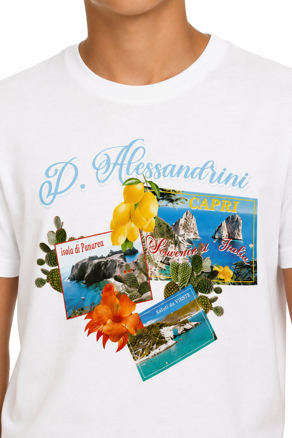 1236M00482 - T-Shirt e Polo - Daniele Alessandrini