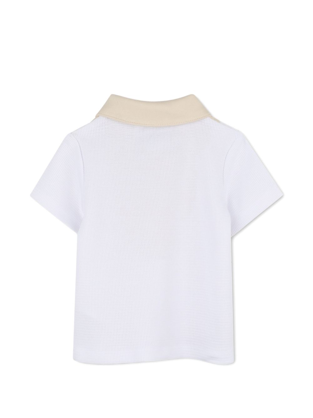 J53047 - Completi - Boss